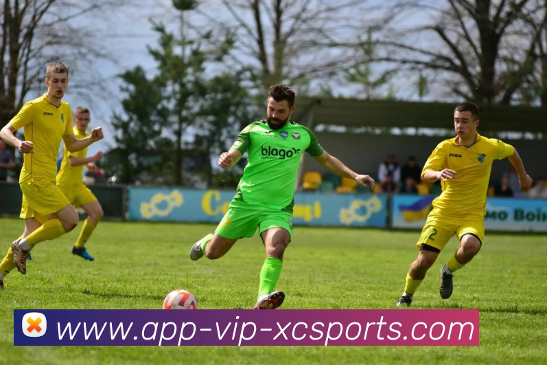 杏彩体育APP 高清赛事图